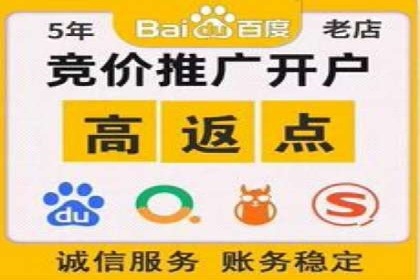案例分析：SEM广告助力旅游行业增长